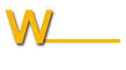 Webguru Solution