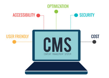 CMS Websites